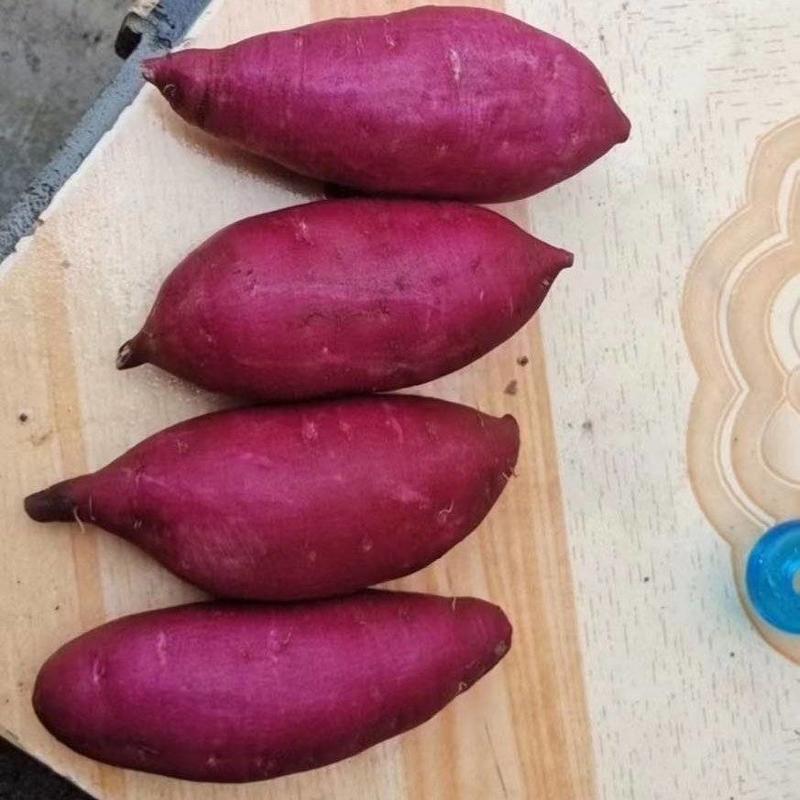 【紫薯】湖北紫罗兰紫薯大量供应对接全国市场电商