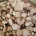 泽润中药白芍无硫过4个筛产地资源各种规格
