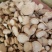 泽润中药白芍无硫过4个筛产地资源各种规格