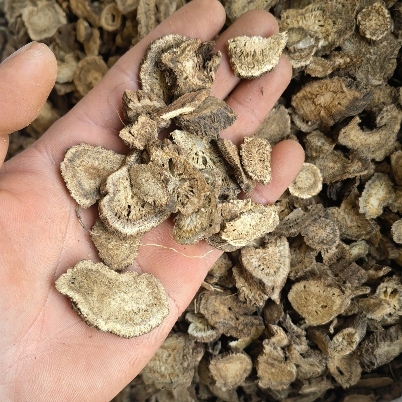 木香云木香新货选关书药业批发中药材
