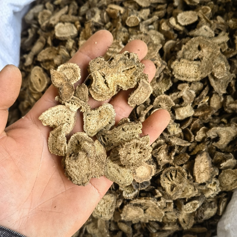 木香云木香新货选关书药业批发中药材