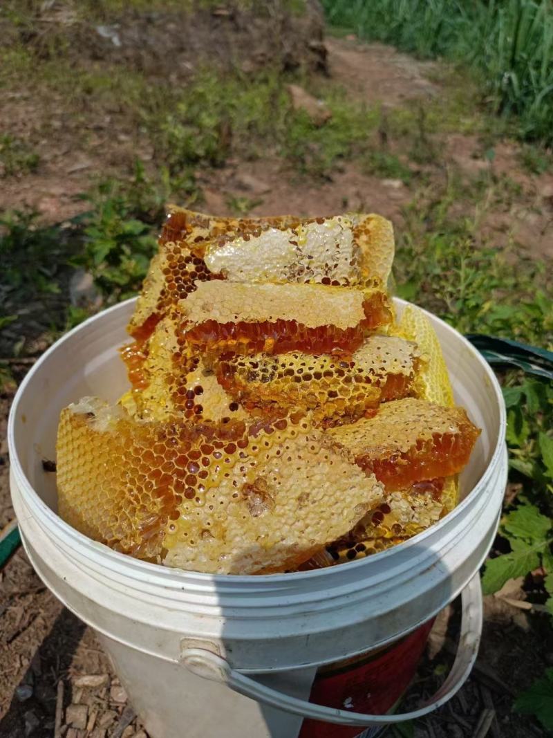 野蜂蜜，云南野生蜂蜜，大量有货，量大优惠，全国直销。