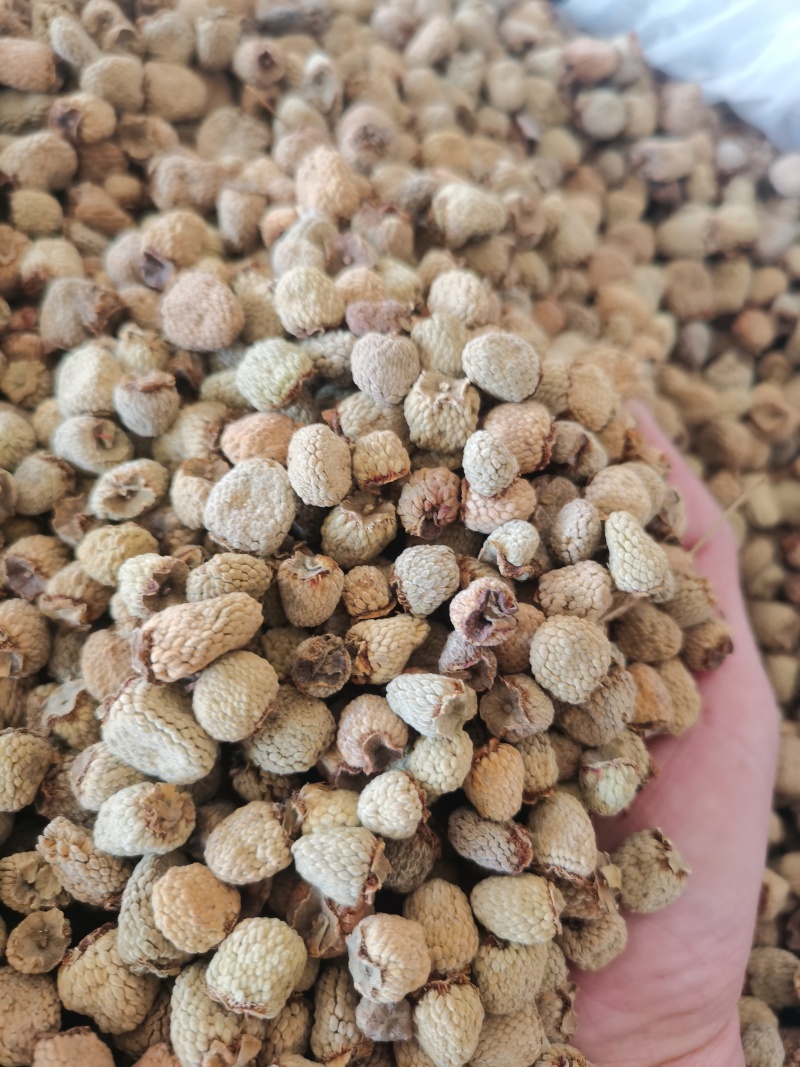泽润中药批发供应覆盆子产地直销重在品质