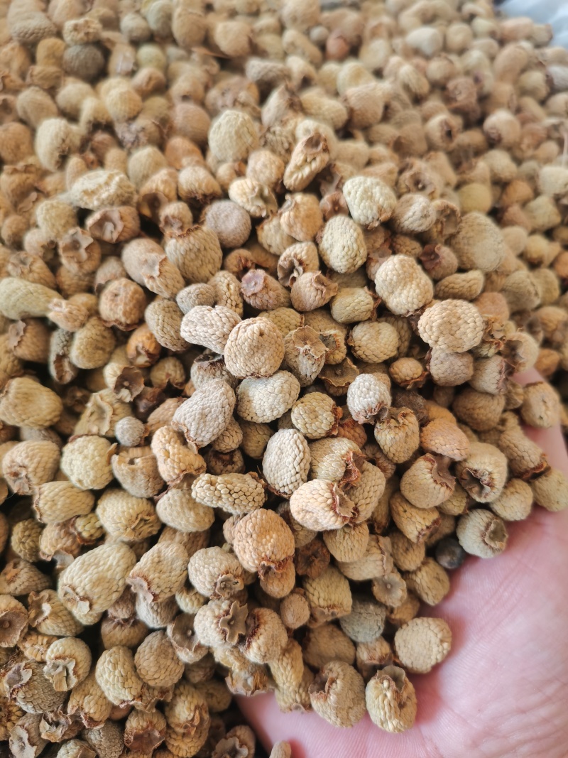 泽润中药批发供应覆盆子产地直销重在品质