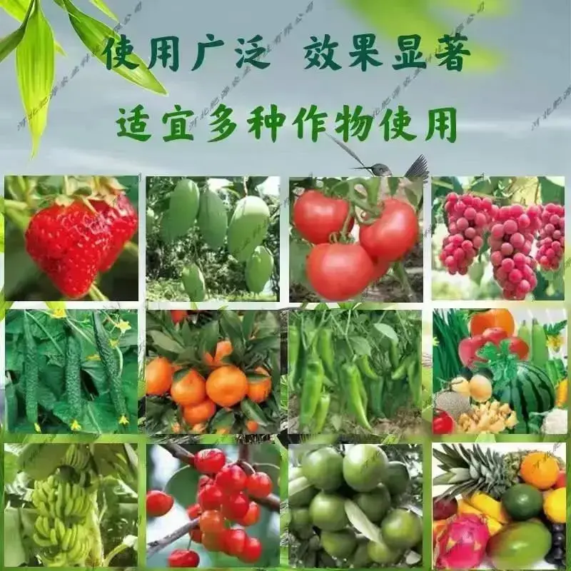 根果多微生物菌剂10亿菌包邮