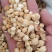 山慈菇光慈菇泽润中药批发零售各种中药
