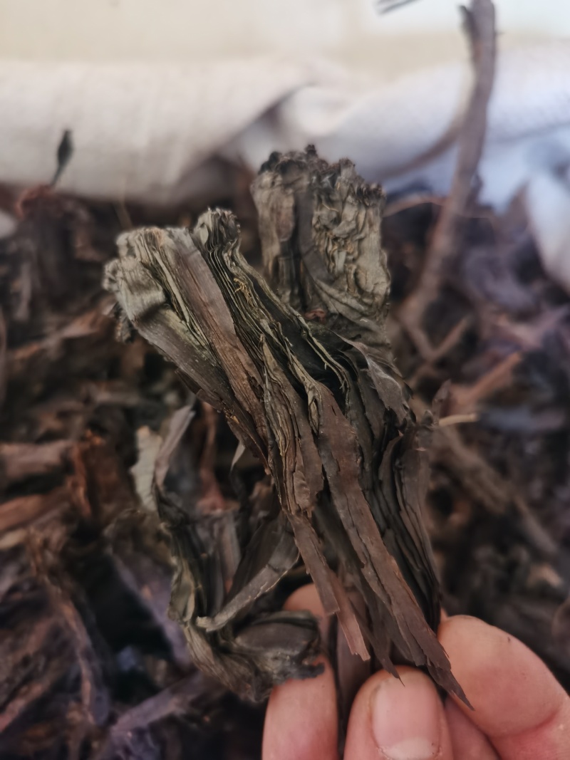 紫草新疆紫草泽润中药批发零售各种中药材
