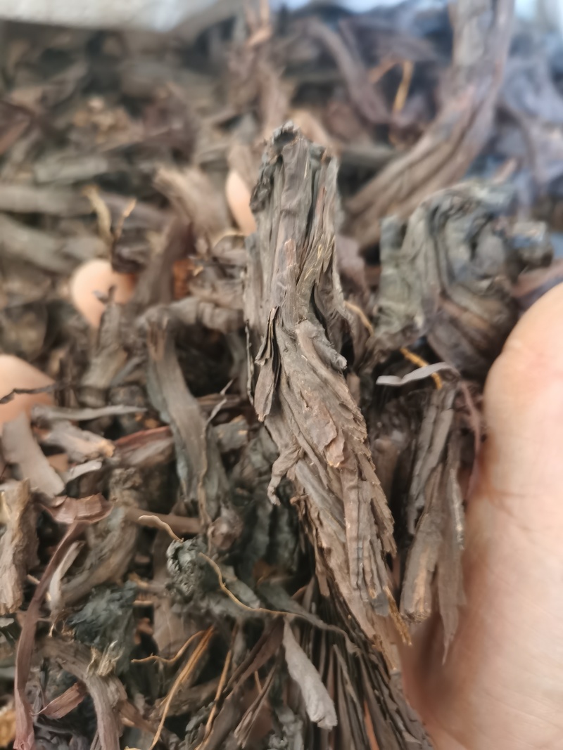 紫草新疆紫草泽润中药批发零售各种中药材