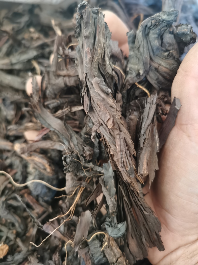 紫草新疆紫草泽润中药批发零售各种中药材
