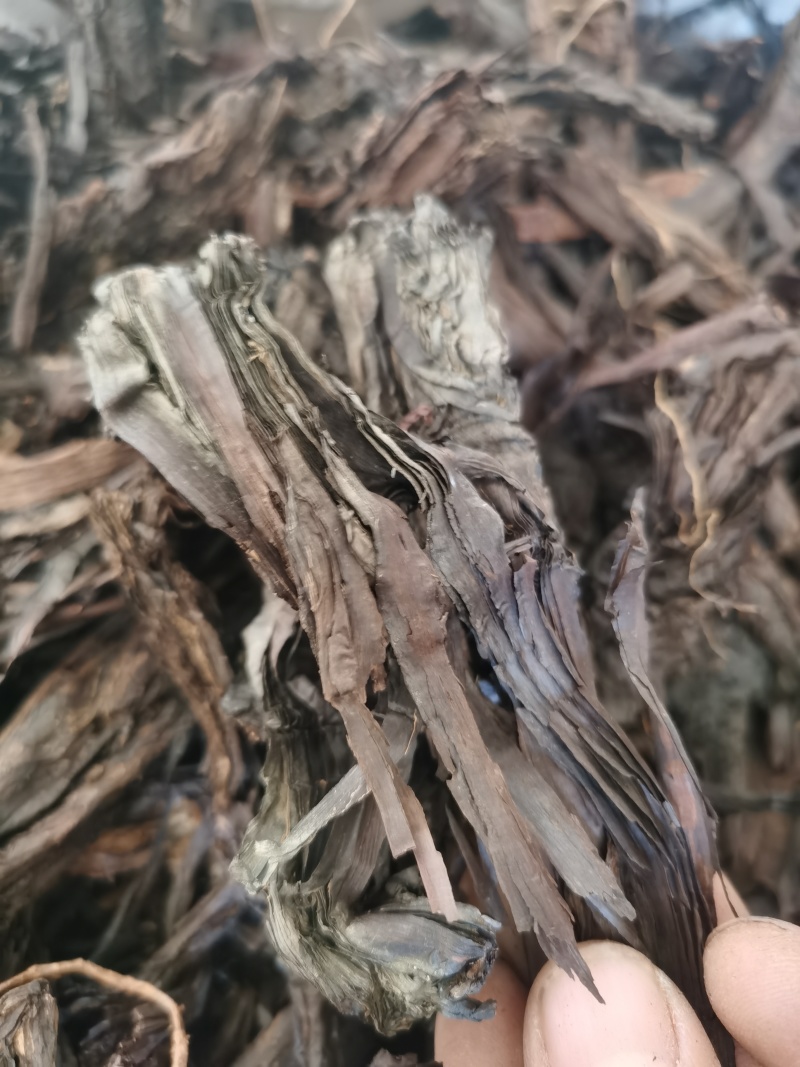 紫草新疆紫草泽润中药批发零售各种中药材