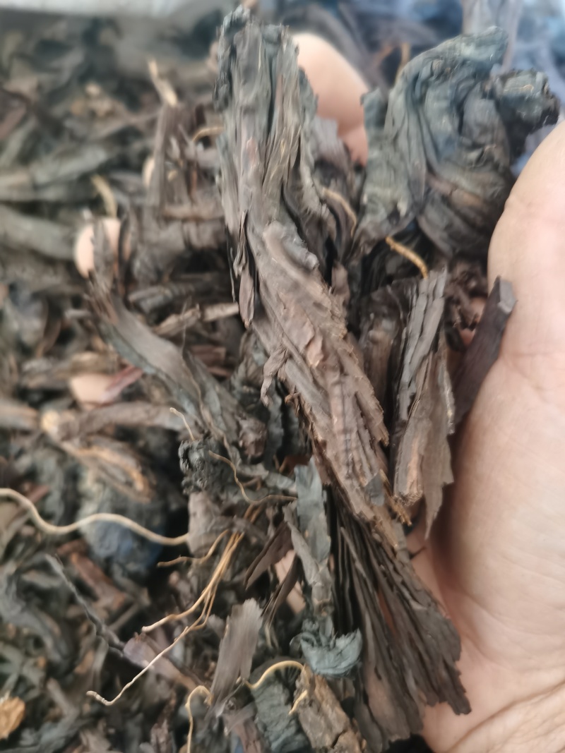 紫草新疆紫草泽润中药批发零售各种中药材