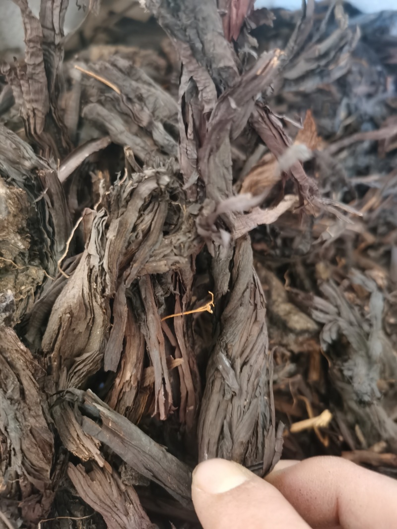 紫草新疆紫草泽润中药批发零售各种中药材