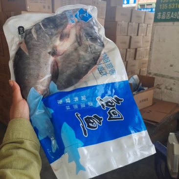 开背清江鱼源头工厂批发液氮锁鲜口感鲜嫩