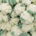 精品有机菜花产地直发品质保证量大从优欢迎联系
