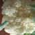 精品有机菜花产地直发品质保证量大从优欢迎联系