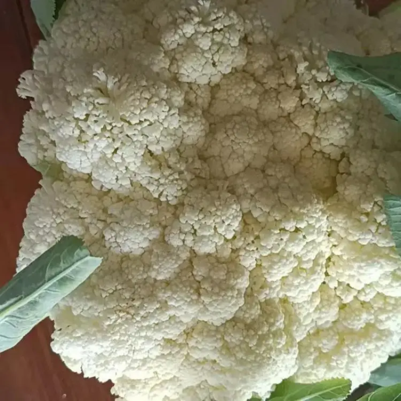 精品有机菜花产地直发品质保证量大从优欢迎联系