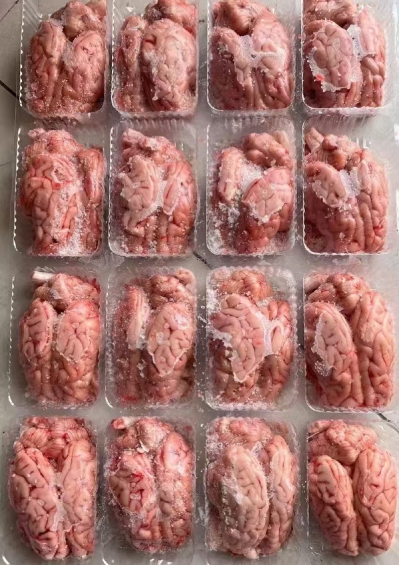 自产国产脑花，厂家直销，品质好，板冻的，单冻的都有