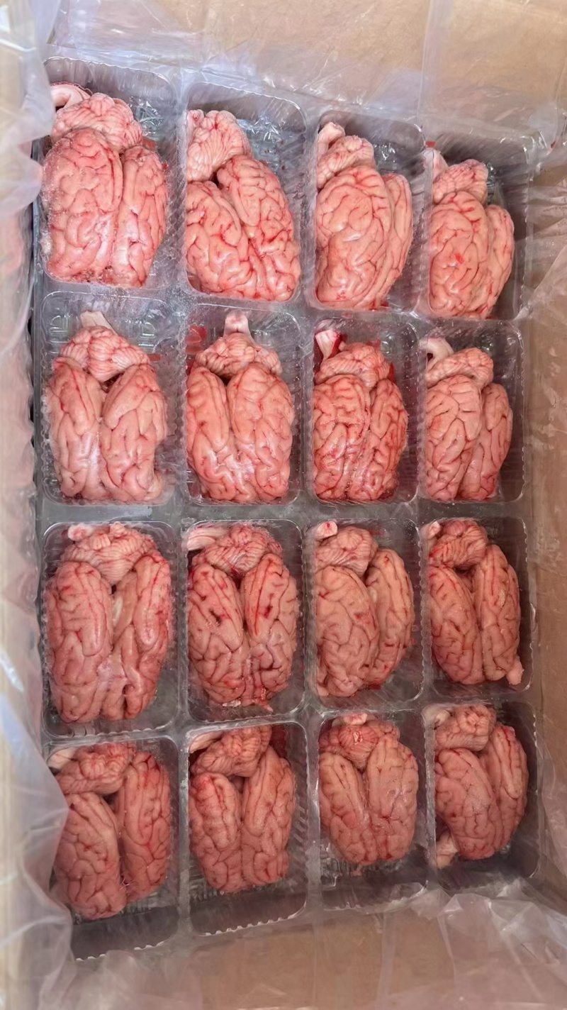 自产国产脑花，厂家直销，品质好，板冻的，单冻的都有