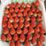 精品红颜草莓产地直发质量保证欢迎来电聊生意