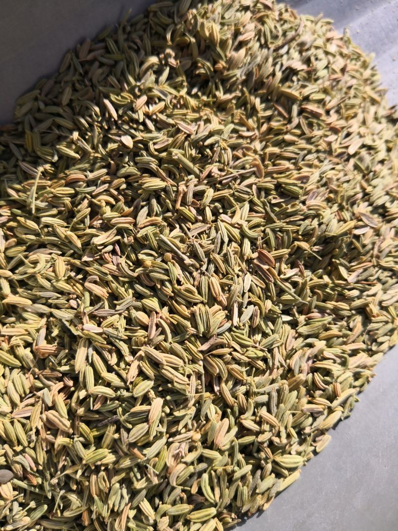 小茴香内蒙干货选货调料中药材量大从优