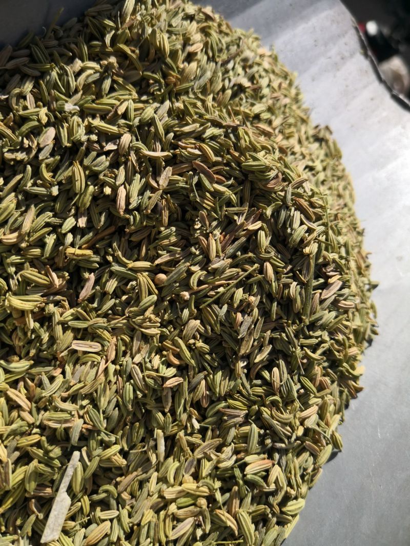 小茴香内蒙干货选货调料中药材量大从优