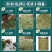 小茴香内蒙干货选货调料中药材量大从优