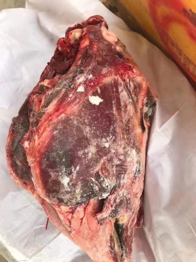 鲜驴肉驴肋条驴排全国发货