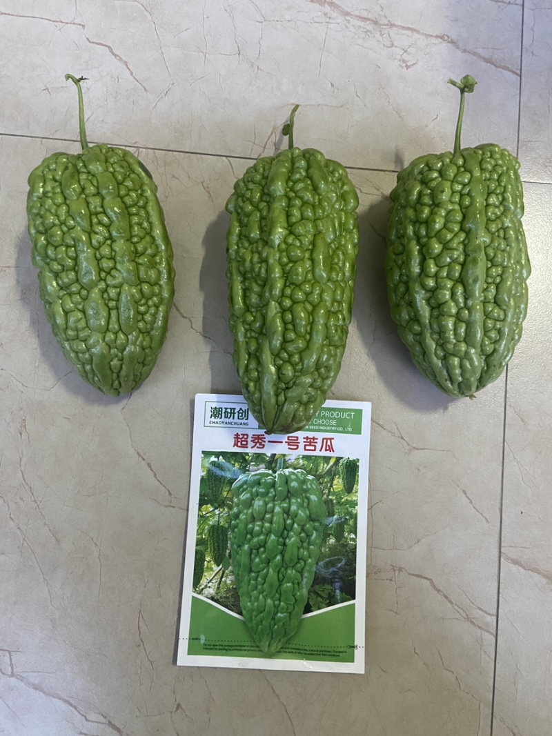 一号大顶珍珠苦瓜种子