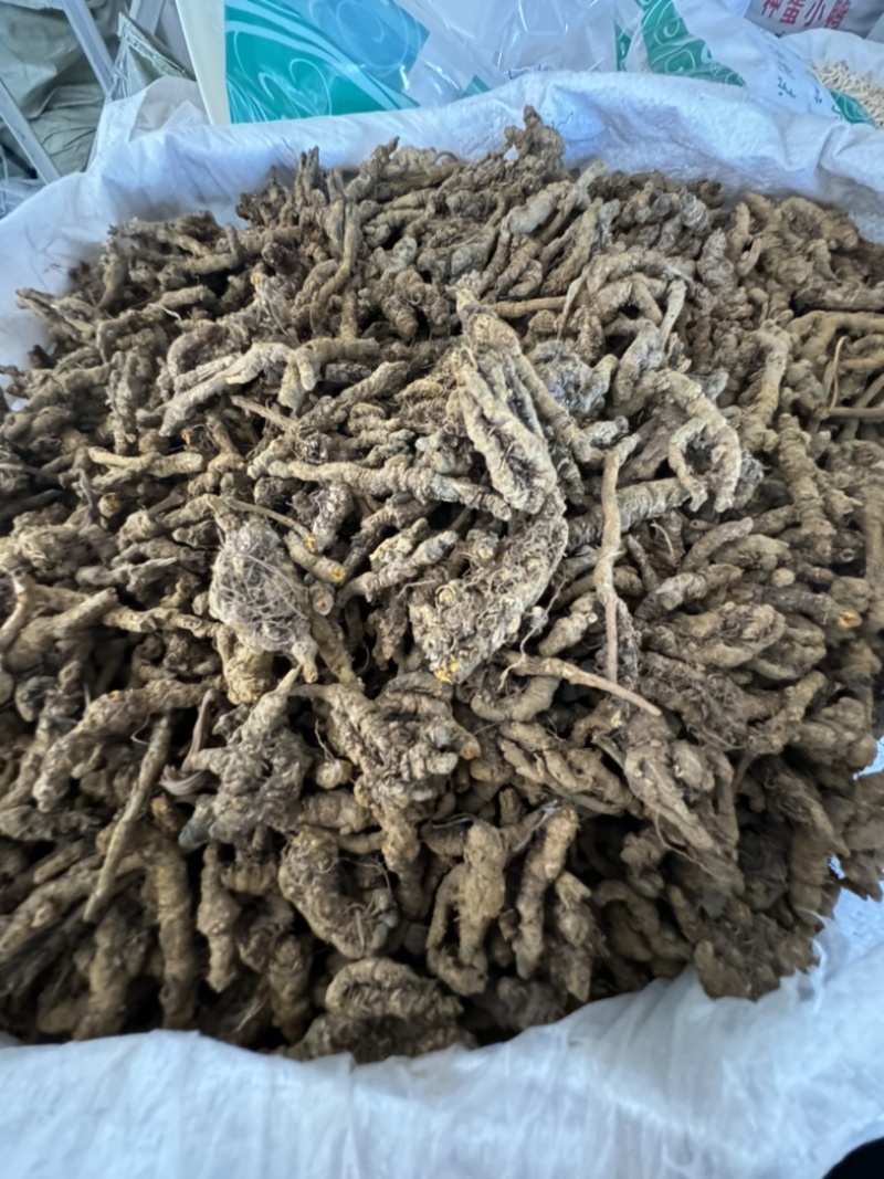 黄连，山东弘舜中药材批发零售，品种规格齐全………………