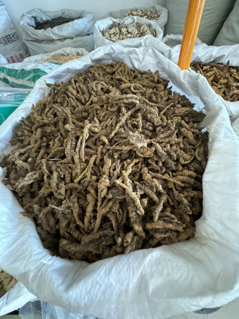 黄连，山东弘舜中药材批发零售，品种规格齐全………………