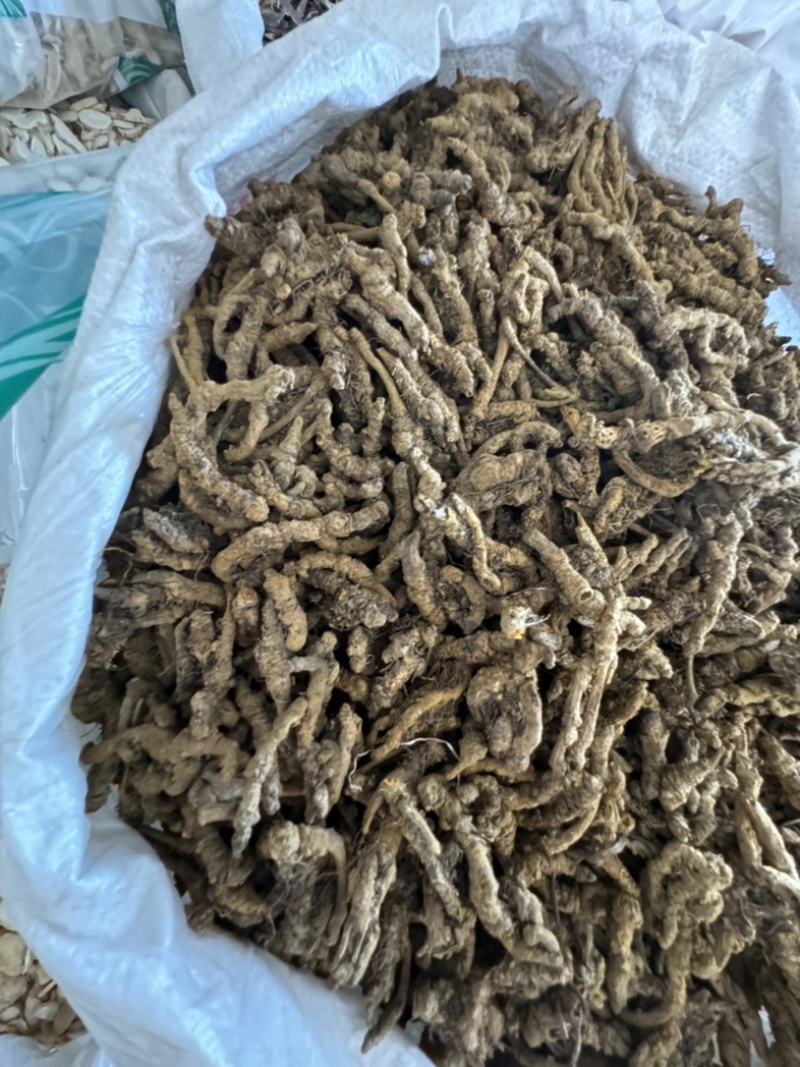 黄连，山东弘舜中药材批发零售，品种规格齐全………………