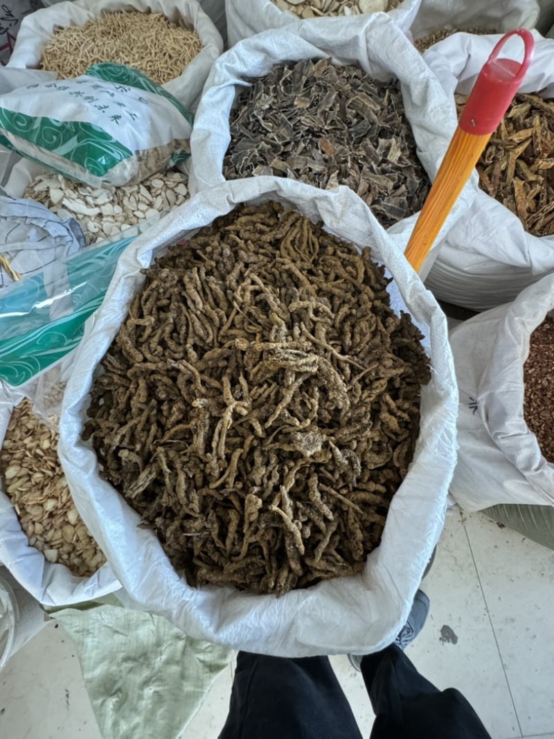 黄连，山东弘舜中药材批发零售，品种规格齐全………………
