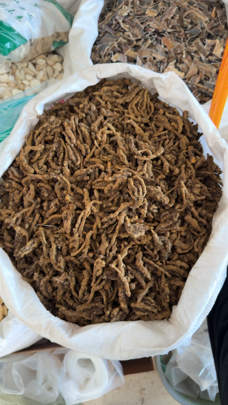 黄连，山东弘舜中药材批发零售，品种规格齐全………………