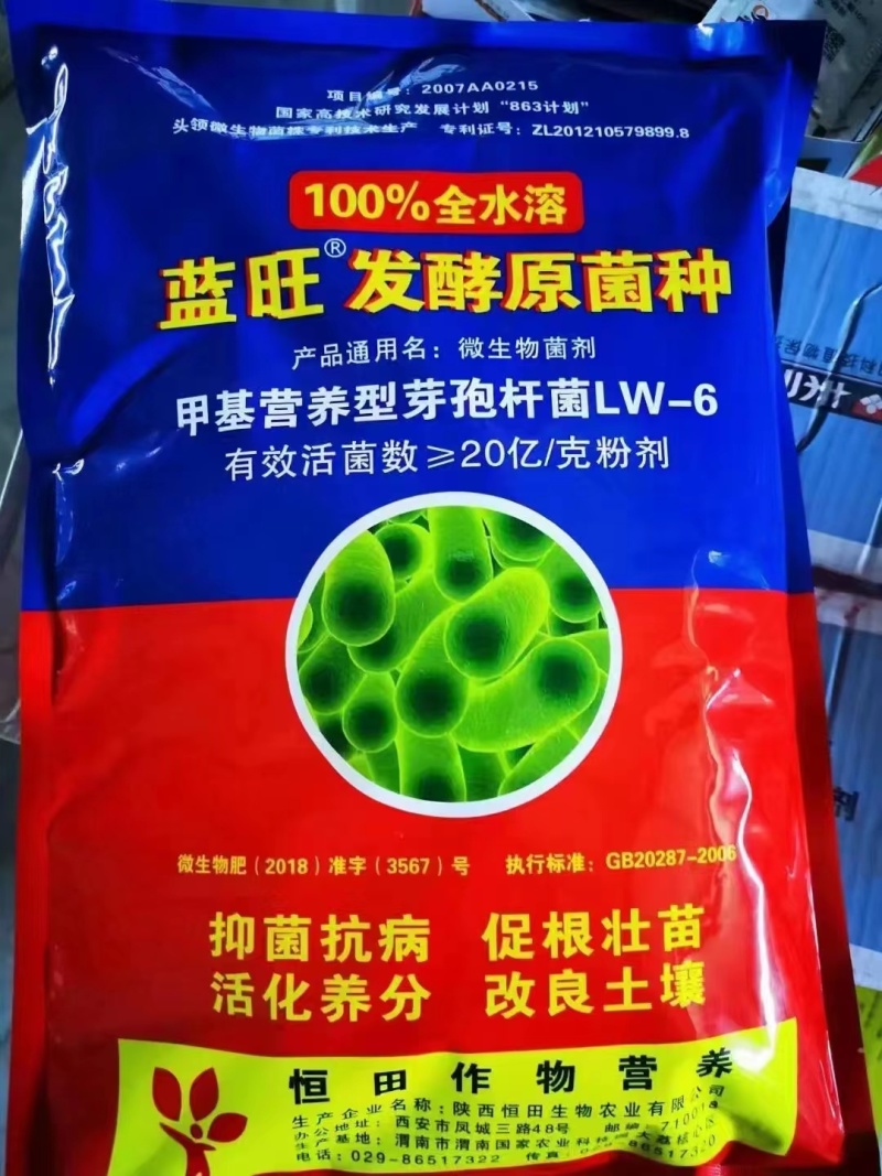 恒田蓝旺枯草芽孢杆菌发酵原菌种抗重茬灌根防治根腐病微生物