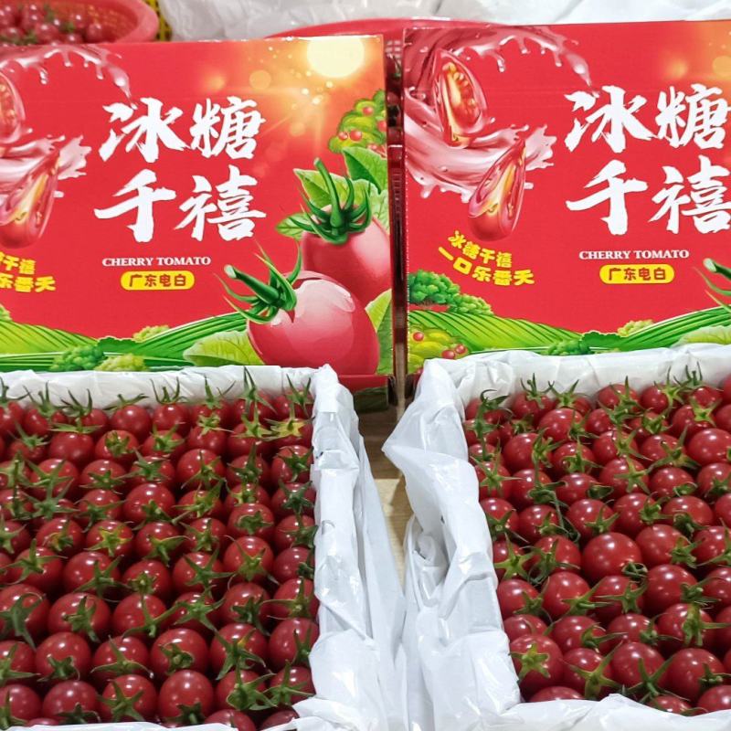 广东电白千禧圣女果，产地现货直发价格实惠量大从优