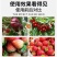 矿源黄腐酸钾黄腐酸钾黄腐酸保花保果，增甜着色，