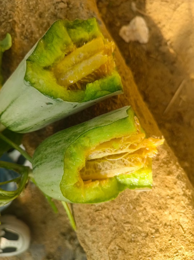 蜜源18，羊角蜜货源充足保质保量，包装齐全，一手货源