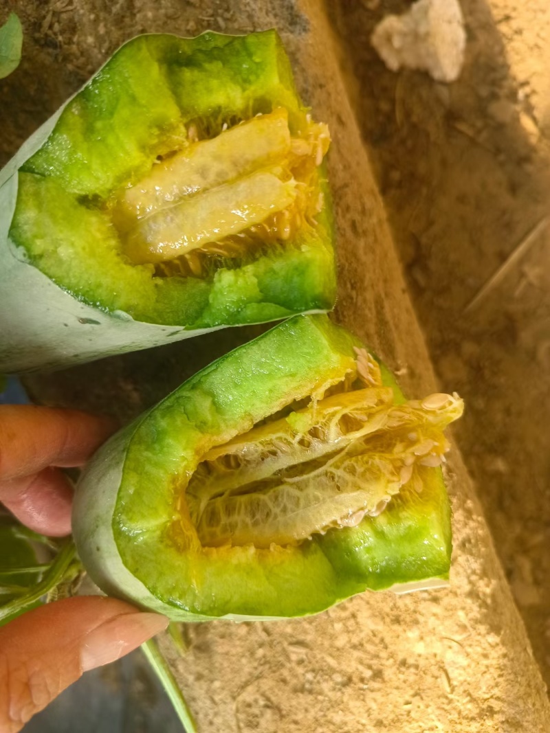 蜜源18，羊角蜜货源充足保质保量，包装齐全，一手货源