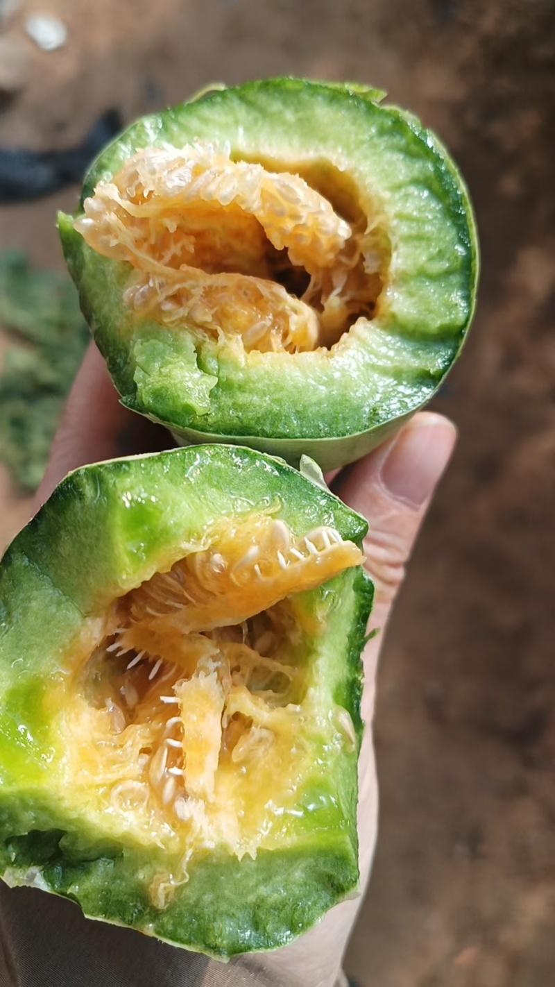 蜜源18，羊角蜜货源充足保质保量，包装齐全，一手货源