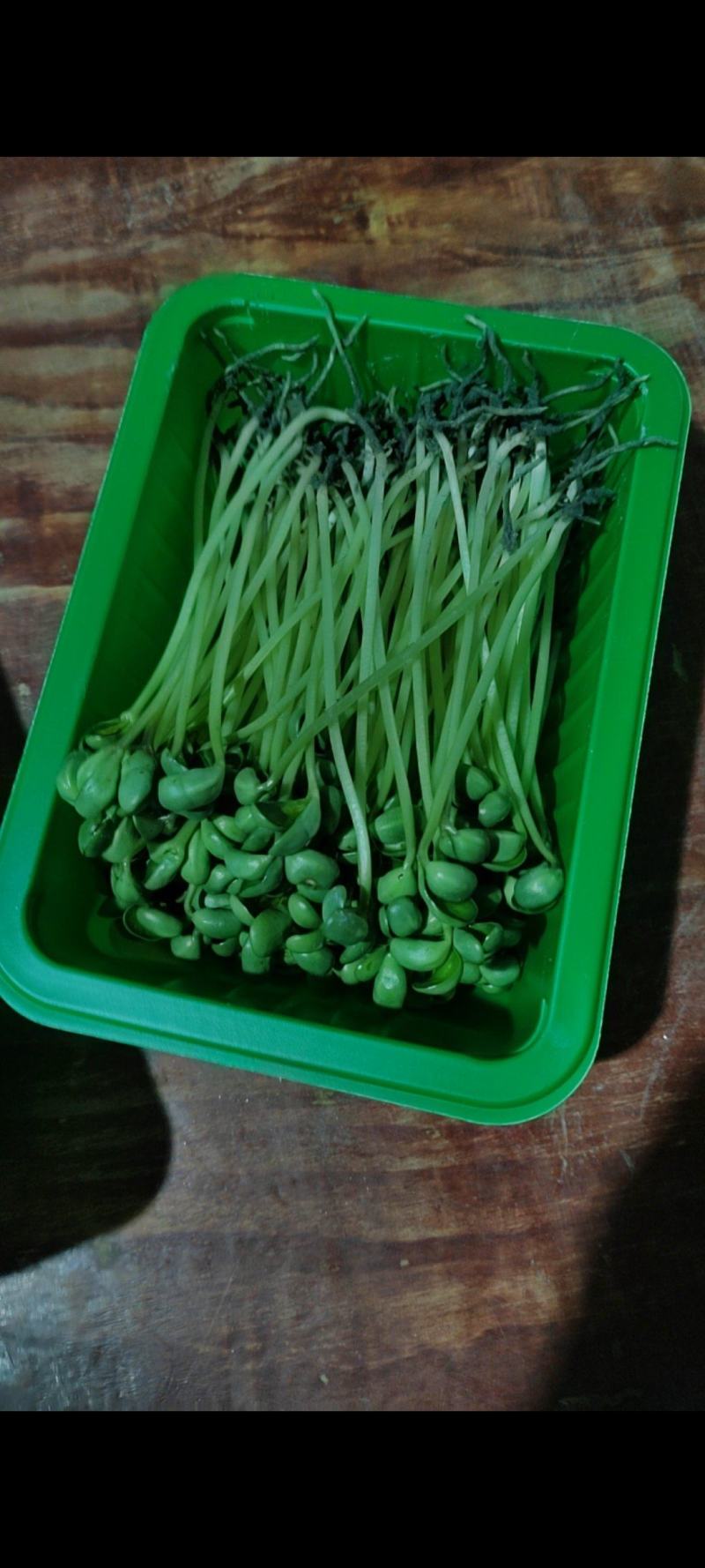 土培黄豆芽苗菜