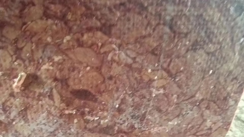 精品鸭肝