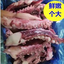 新鲜【大号鱿鱼须5斤】冷冻水产深海鲜八爪鱼脚大章鱼足