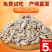葵瓜子仁干炒新鲜生熟瓜子仁原味小包装坚果零食批发舌绝葵花