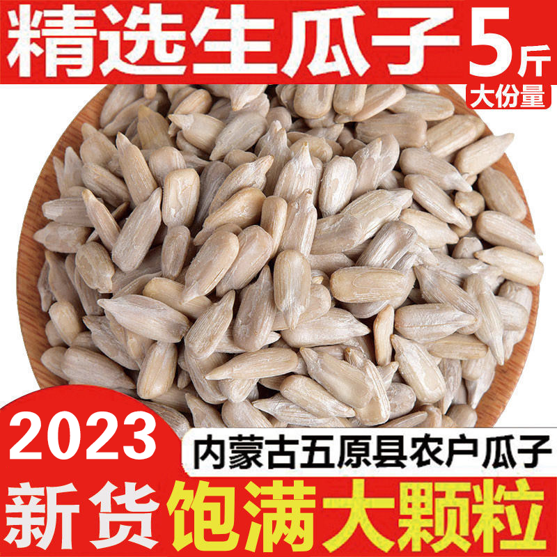 葵瓜子仁干炒新鲜生熟瓜子仁原味小包装坚果零食批发舌绝葵花