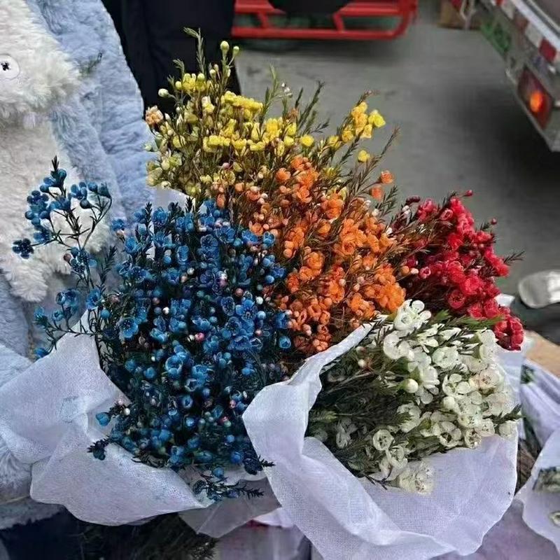 腊梅花多种颜色混装发货春季鲜花一把300克