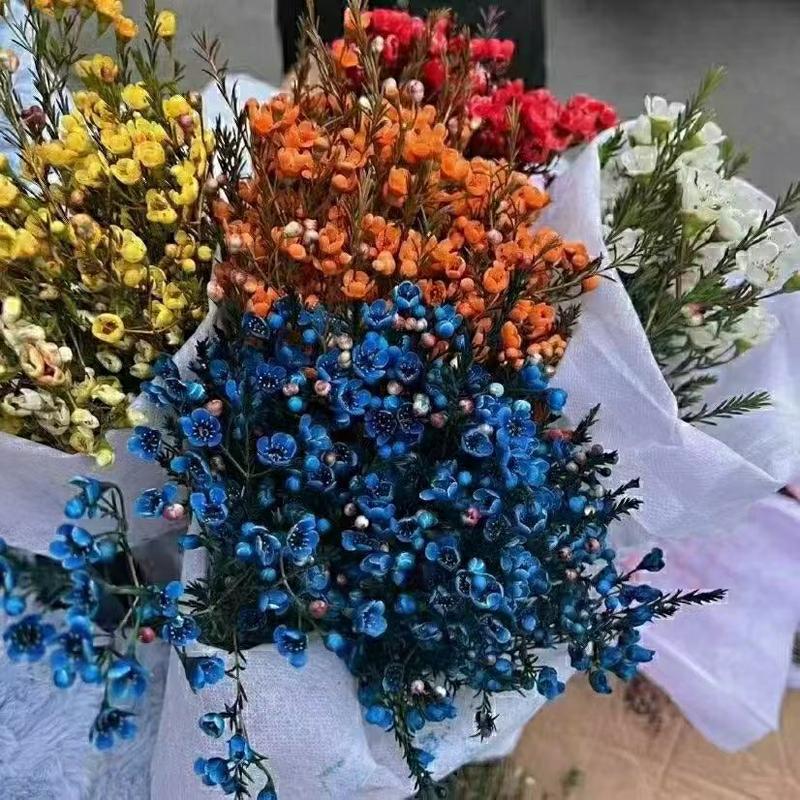 腊梅花多种颜色混装发货春季鲜花一把300克