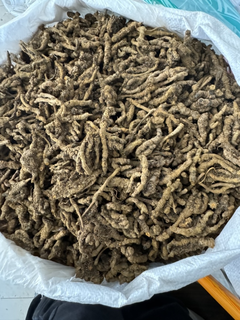 黄连，山东弘舜中药材批发零售，品种规格齐全………………