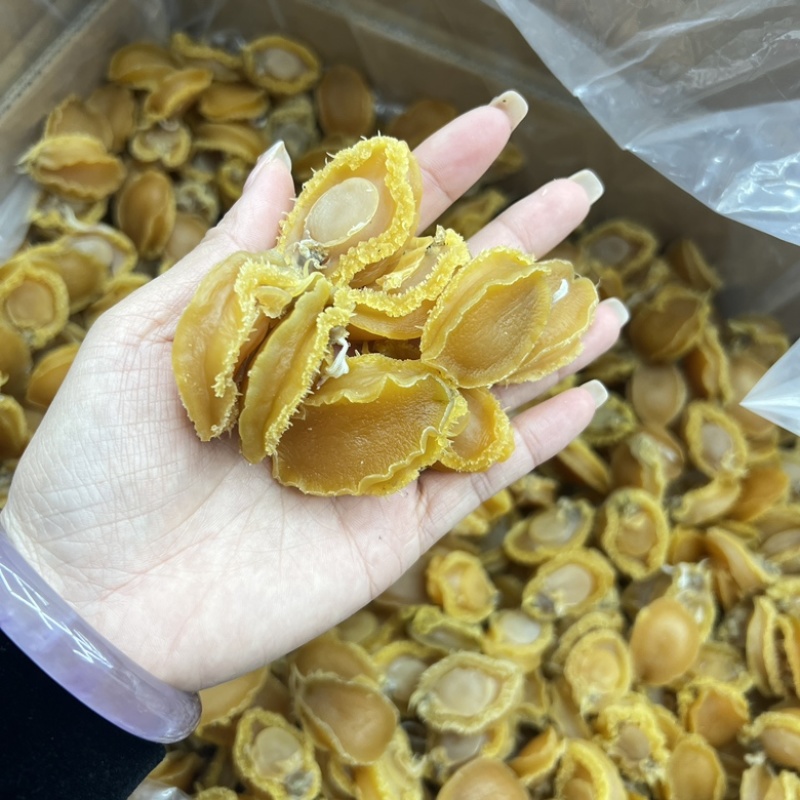 40头50头60条大连鲍鱼