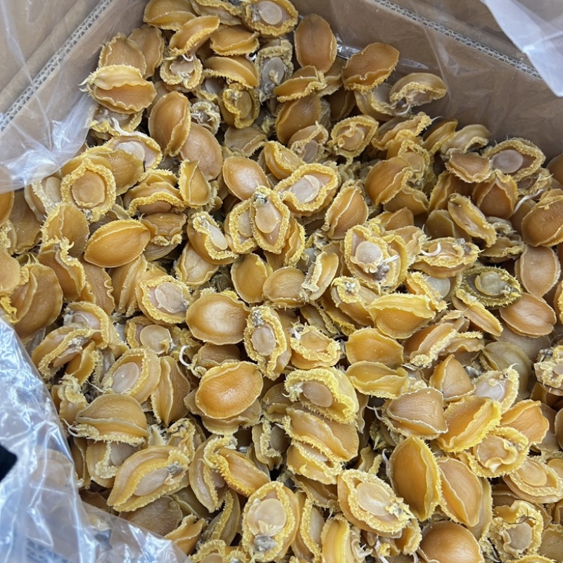 40头50头60条大连鲍鱼