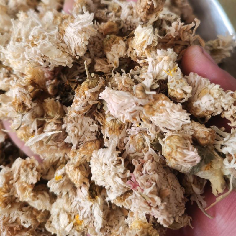 菊花正品药用小朵菊花低价促销泽润中药